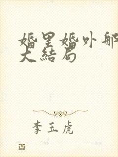 婚里婚外那些事大结局