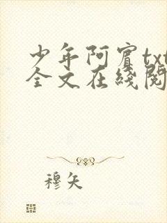 少年阿宾txt全文在线阅读