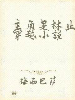 主角是林止陌的穿越小说