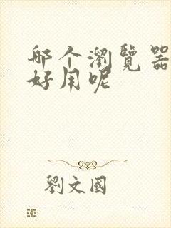 哪个浏览器比较好用呢