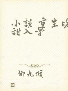 小说 重生暖婚甜入骨