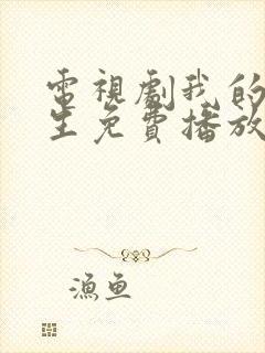 电视剧我的前半生免费播放全集