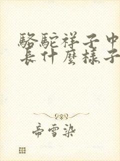 骆驼祥子中虎妞长什么样子