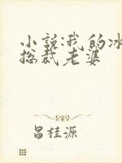 小说:我的冰山总裁老婆