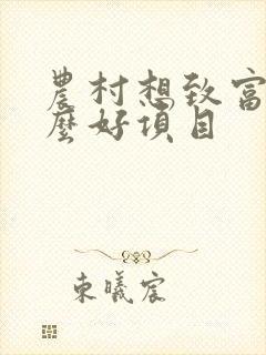 农村想致富有什么好项目