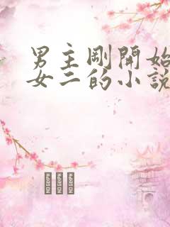 男主刚开始喜欢女二的小说