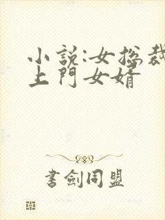 小说:女总裁的上门女婿