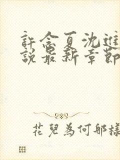 许念夏沈进舟小说最新章节更新内容