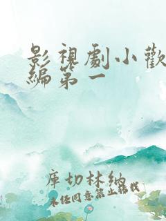 影视剧小欢喜改编第一