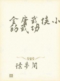 金庸武侠小说中的武功