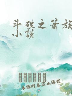 斗破之萧族冰圣小说