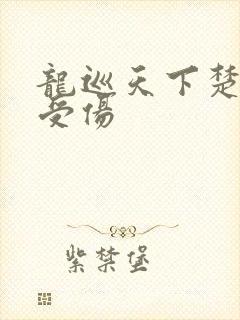 龙巡天下楚天佑受伤