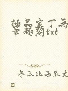 极品家丁无删节笔趣阁txt