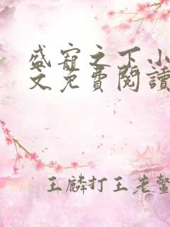 盛宠之下小说全文免费阅读