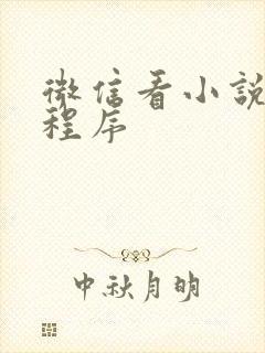 微信看小说的小程序