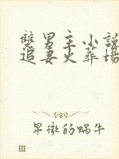 双男主小说短篇追妻火葬场