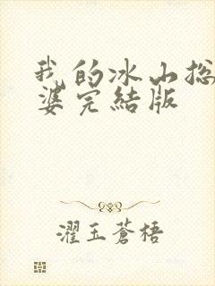 我的冰山总裁老婆完结版