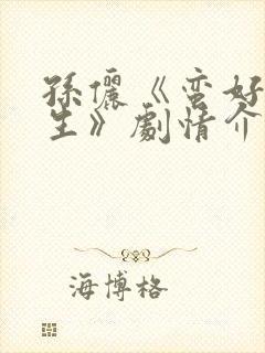 孙俪《蛮好的人生》剧情介绍