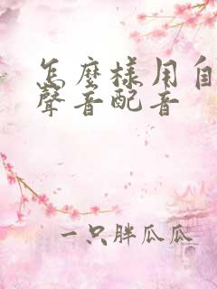 怎么样用自己的声音配音