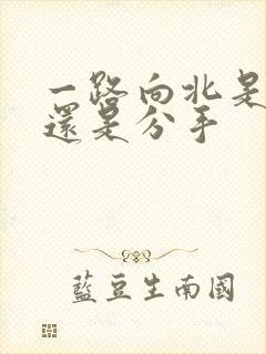 一路向北是表白还是分手