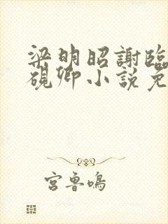 梁明昭谢临飞沈砚卿小说免费阅读