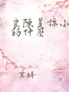 良陈美锦小说讲的什么