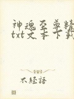 神魂至尊精校版txt文本下载