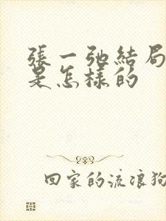 张一弛结局到底是怎样的