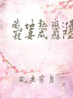 藏地热恋:佛子宠妻成瘾陆芊芊小说