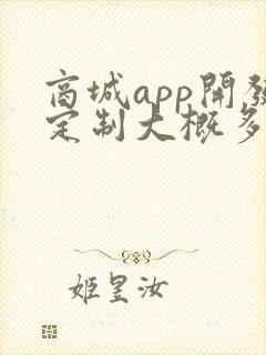 商城app开发定制大概多少钱