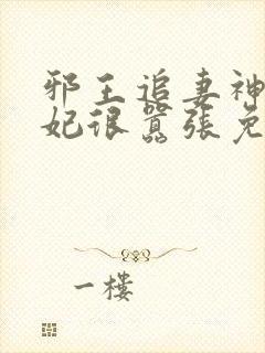 邪王追妻神医狂妃很嚣张免费阅读