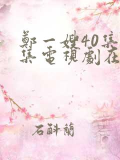 郑一嫂40集全集电视剧在线观看