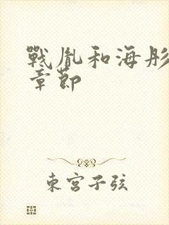 战胤和海彤最新章节