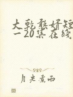 大乾憨婿短剧1一20集在线看