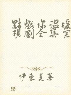 点燃你温暖我电视剧全集完整版免费