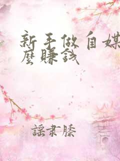 新手做自媒体怎么赚钱