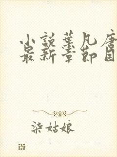 小说叶凡唐若雪最新章节目