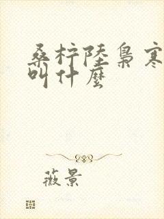 桑柠陆枭寒短剧叫什么