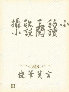 摄政王的小闲妻小说阅读