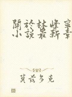 关于林峰宁欣的小说最新章节