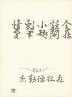 情刺小说全文免费笔趣阁在线阅读