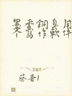 墨香铜臭用的哪个写作软件写的小说