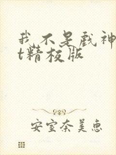 我不是戏神txt精校版