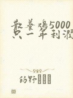散养鸡5000只一年利润多少