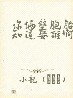 你俩双胞胎我哪知道娶谁啊小说免费阅读