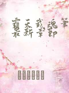 霸天武魂笔趣阁最新章节