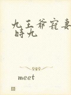 九王爷宠妻如命 时九