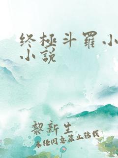终极斗罗小书屋小说