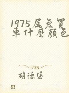 1975属兔买车什么颜色最好