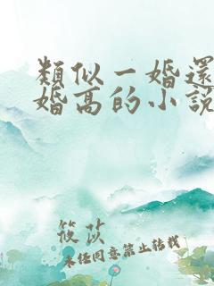 类似一婚还比一婚高的小说高干文